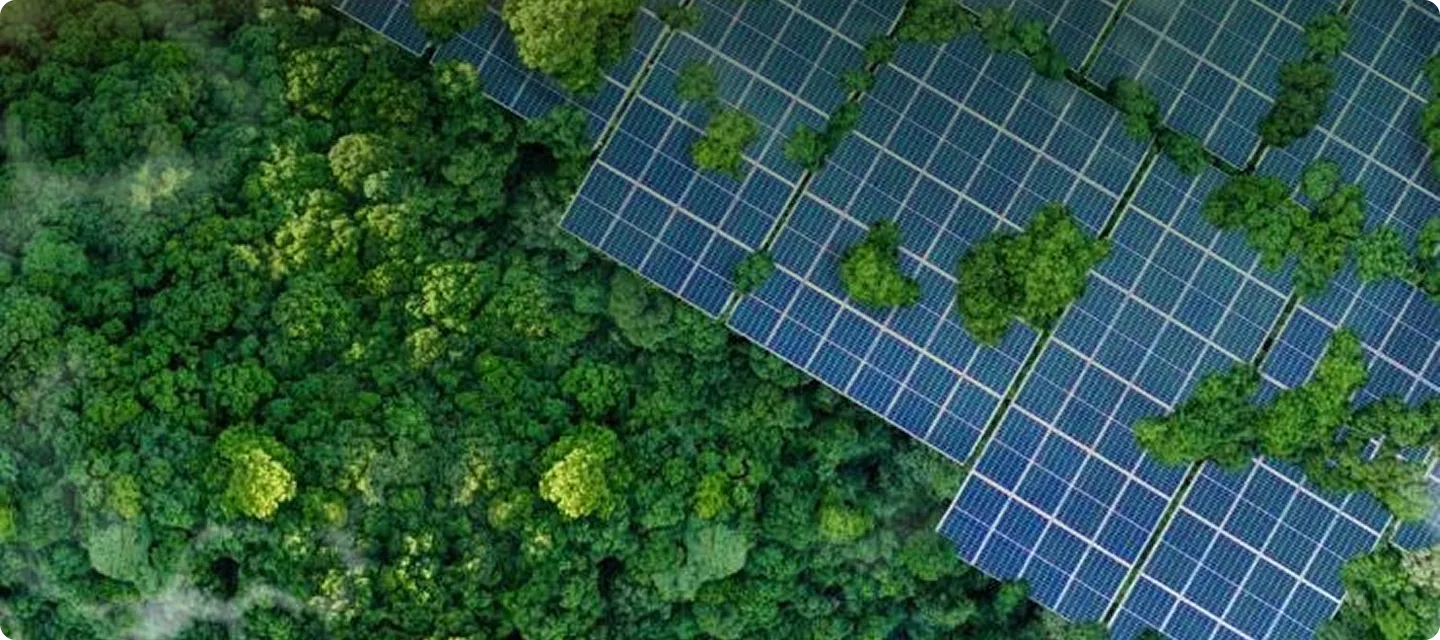Equipe Renova Ambiental em reunião de governança