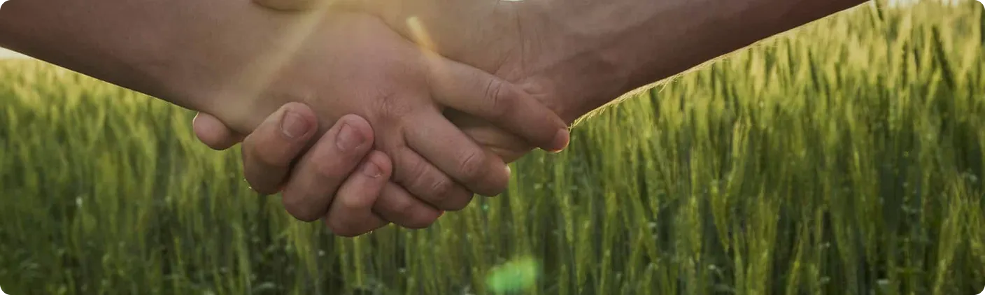 Mãos unidas em campo simbolizando parceria