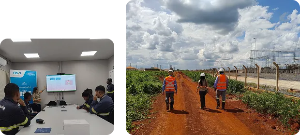 Equipe da Renova Ambiental em campo e fauna local monitorada