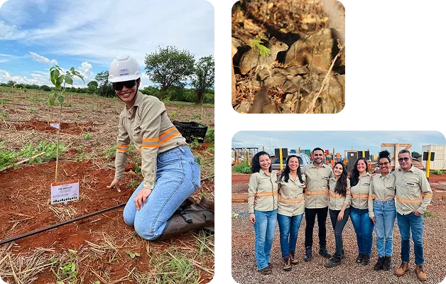 Equipe da Renova Ambiental em campo