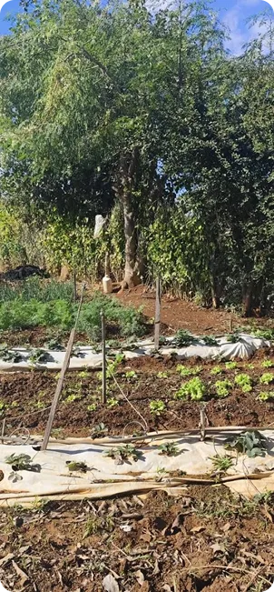 Especialista da Renova Ambiental em campo