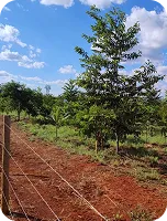 Equipe da Renova Ambiental em reunião técnica